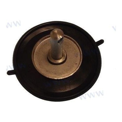 DIAPHRAGM ASSY