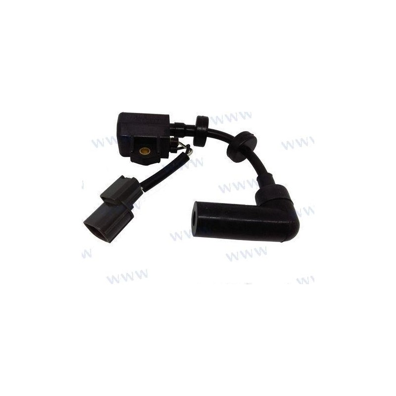 IGNITION COIL ASSY