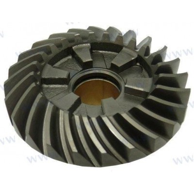 FORWARD GEAR ASSY