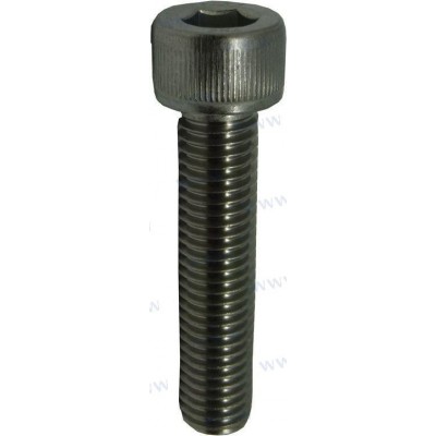 SCREW M10X1.5X45