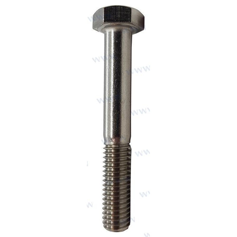 BOLT  HEXAGON M8X55