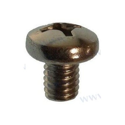 SCREW PAN HEAD M6X8