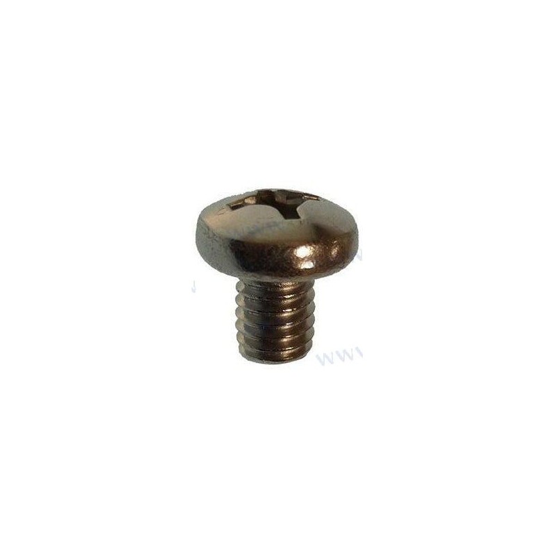 SCREW PAN HEAD M6X8