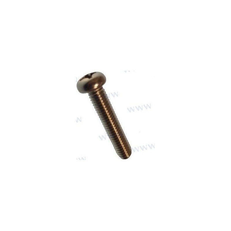 SCREW  SMALL PAN HEAD M6X30