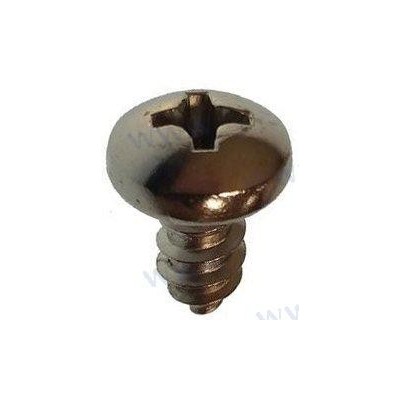 SCREW  PANHEAD ST4  8X9