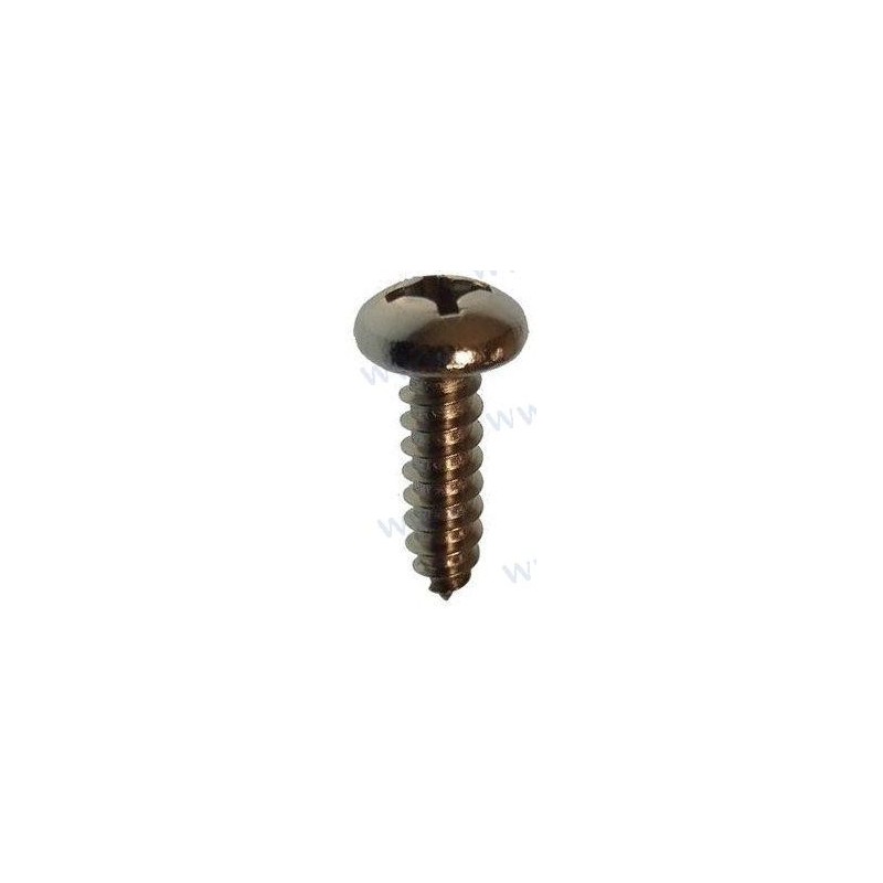 SCREW  PAN HEAD ST5.5X19