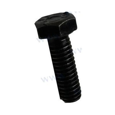 TORNILLO TAPA COLECTOR