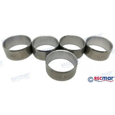 KIT BEARING: CAMSHAFT 454  MKIV