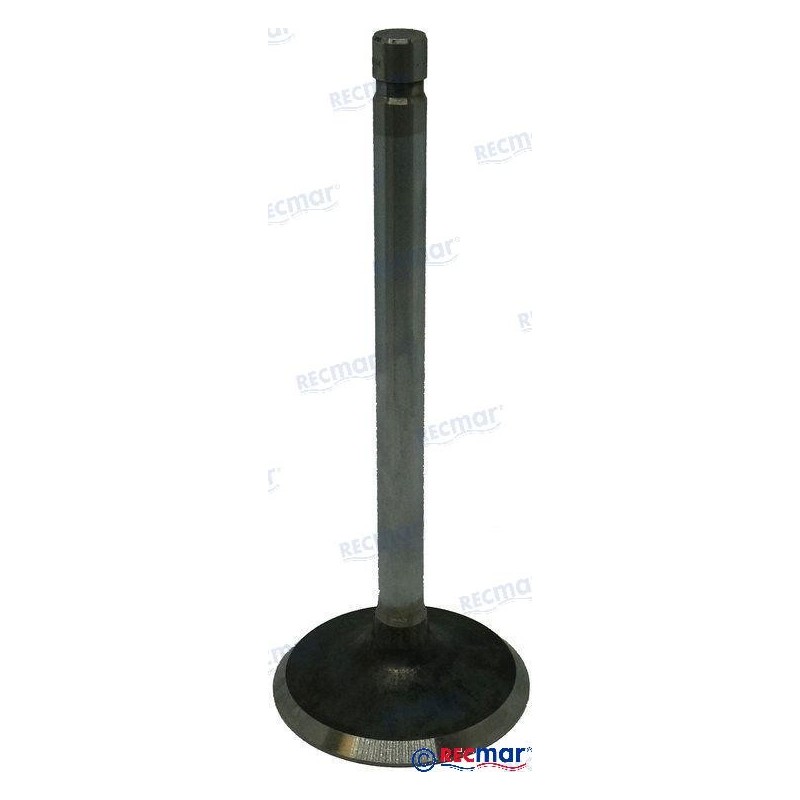 VALVE: INTAKE 350