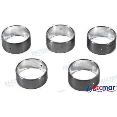 KIT BEARING CAMSHAFT 454 GEN. V