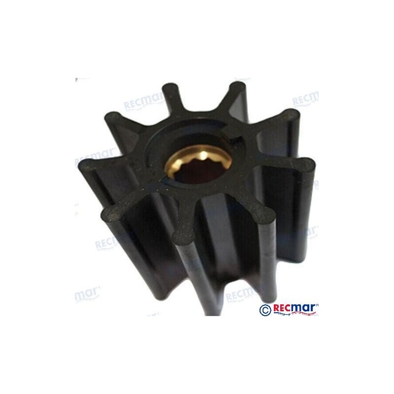 IMPULSOR JABSCO 6760-0001 & JOHNSON 09-8