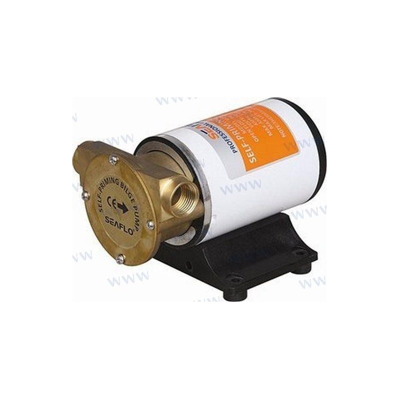 BOMBA ACHIQUE 24V 30LTSMIN