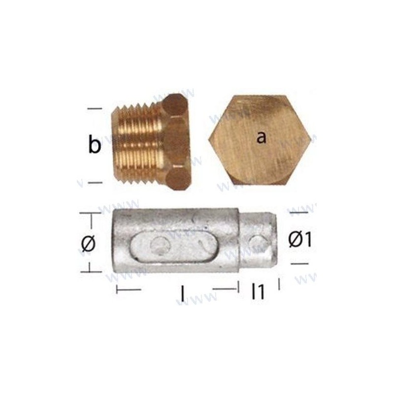 ANODO LOMBARDINI CTAPON