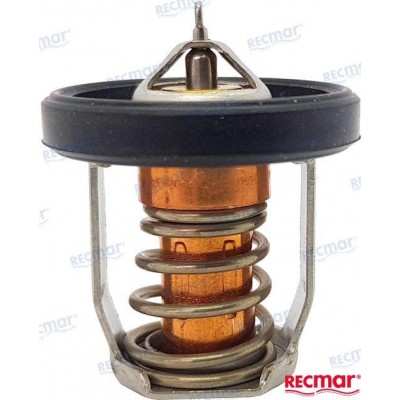 TERMOSTATO 17670-94J01