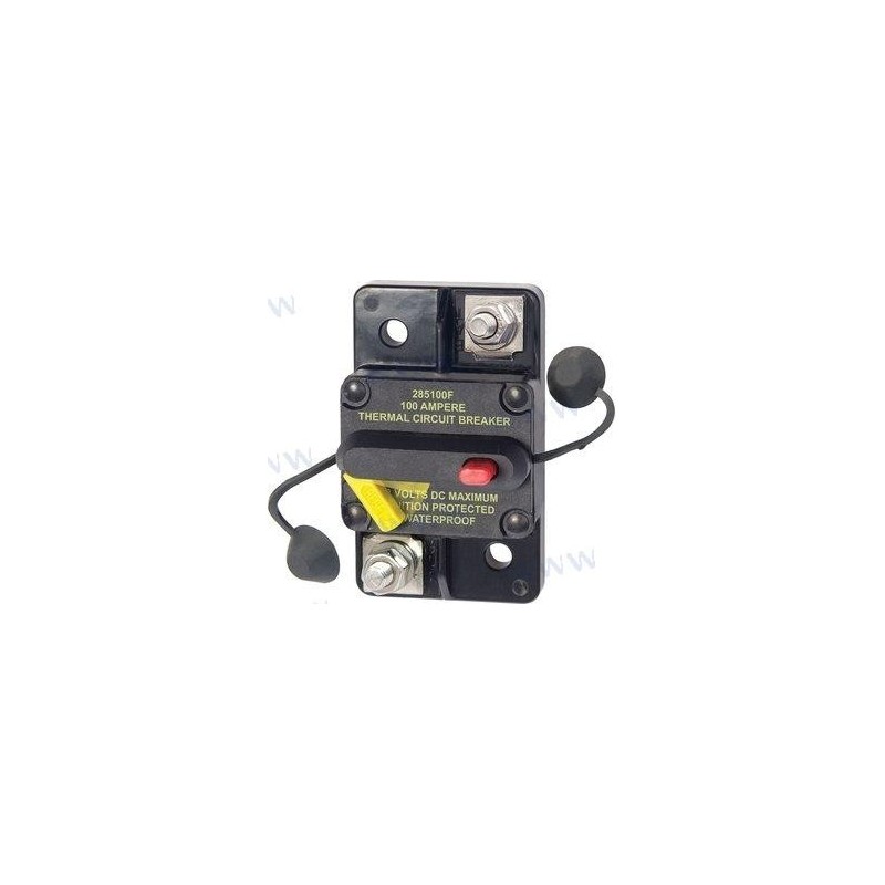 INTERRUPTOR TERMICO 100A