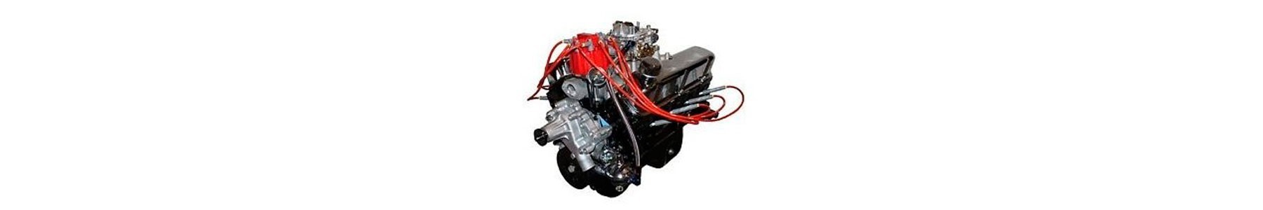 5.0L 302 -5.8L 351 (FORD)