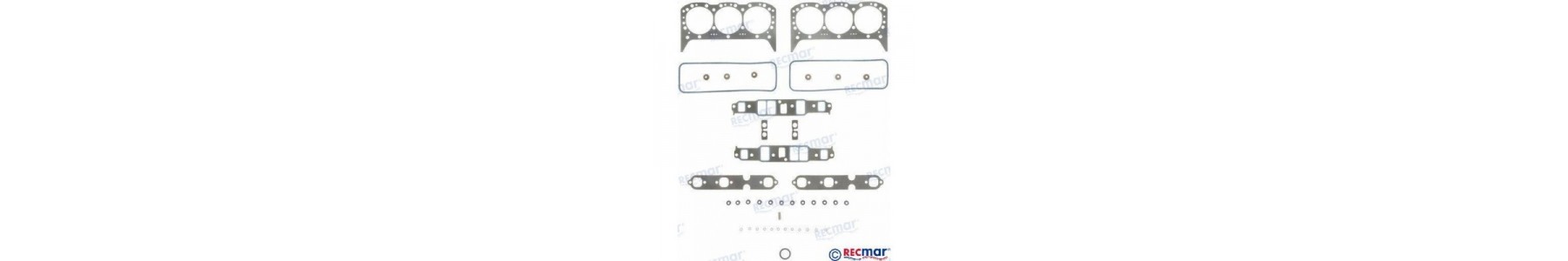 MOTOR V6 4.3L 4.3LX