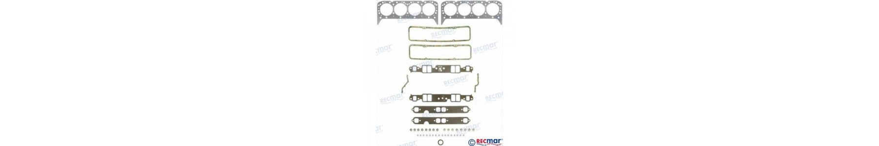 MOTORES 5.0 GM 185 200 225 230