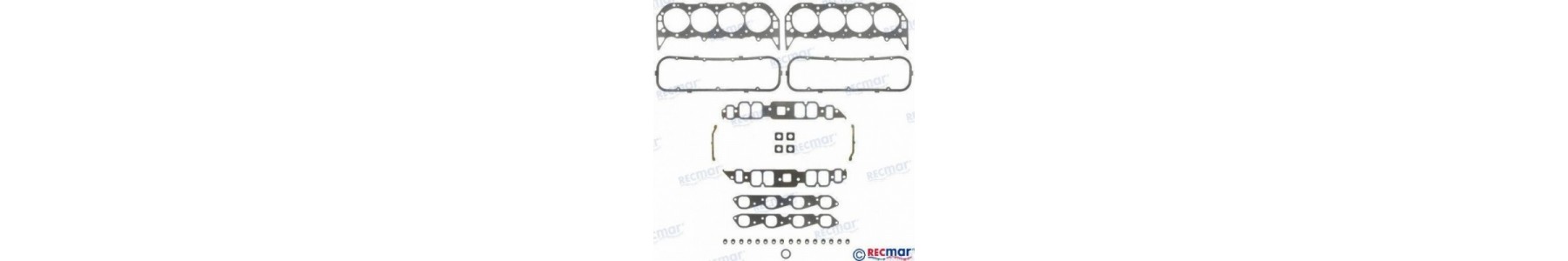 MOTORES 7.4 454 CID